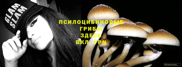 ECSTASY Кулебаки