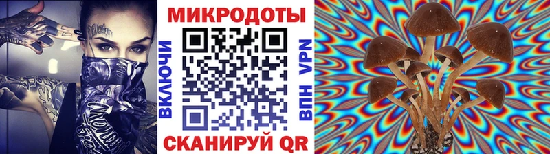 Псилоцибиновые грибы мухоморы  Купить  Долинск 