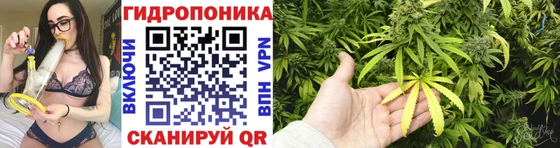 Шишки марихуана Ganja  Купить закладки  Долинск 